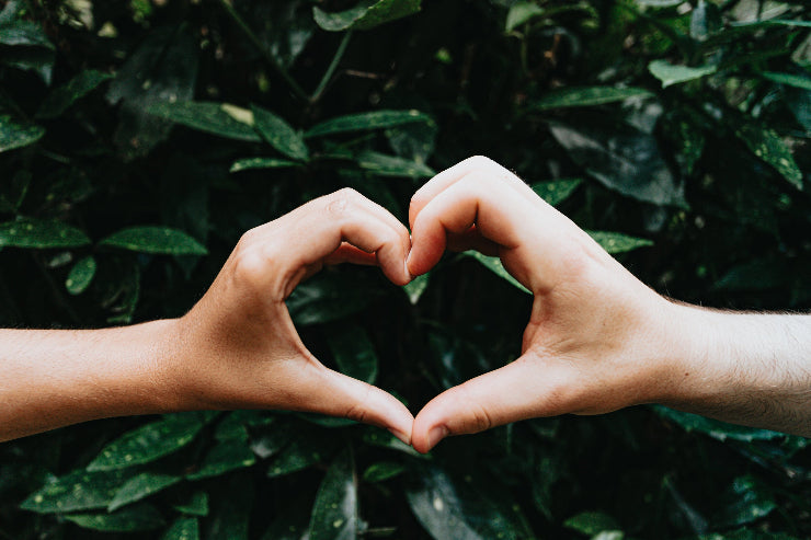 Two hands forming a heart shape against a backdrop of green leaves, symbolizing KULA’s core values of kindness, connection, and community